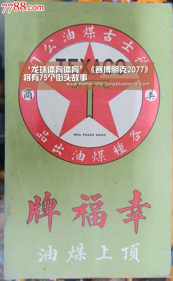 龙珠体育体育