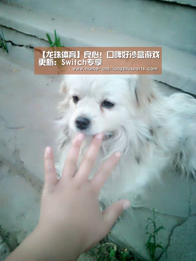 龙珠体育