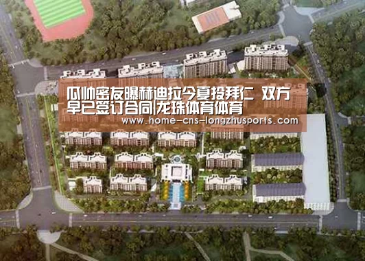 龙珠体育体育