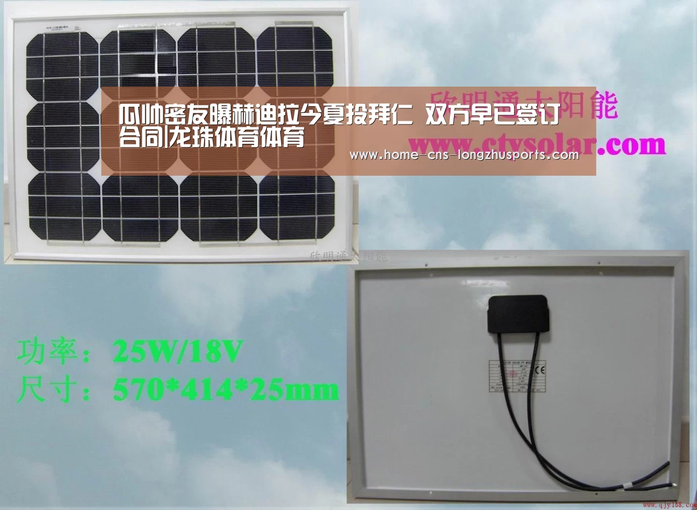 龙珠体育体育