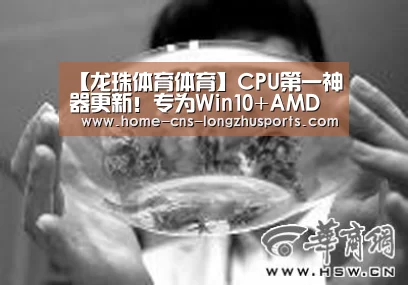 龙珠体育