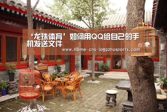 龙珠体育体育