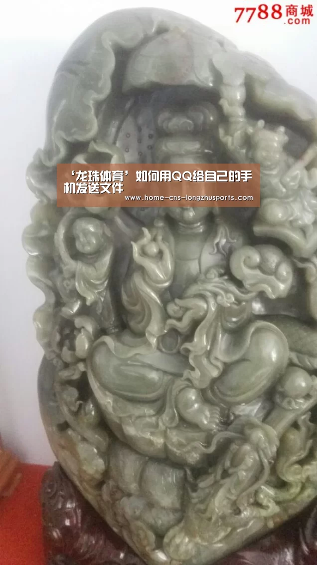 龙珠体育体育