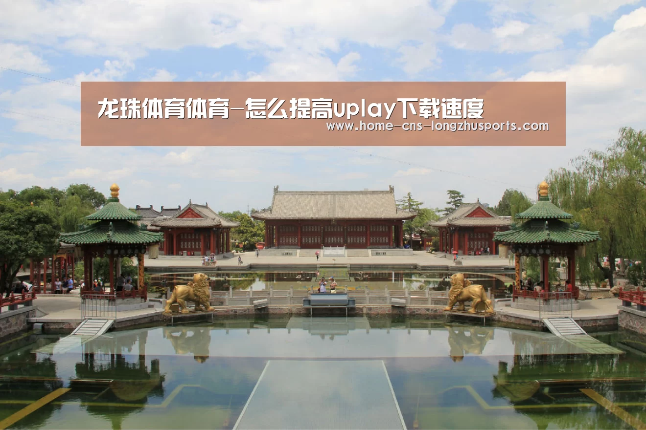 龙珠体育体育