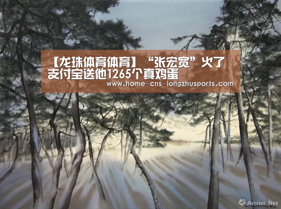 龙珠体育