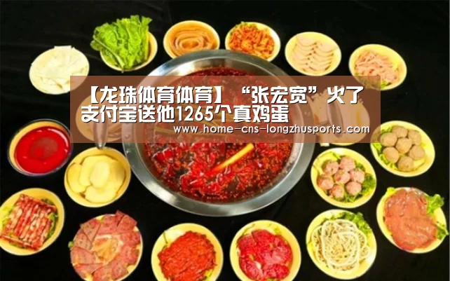 龙珠体育体育