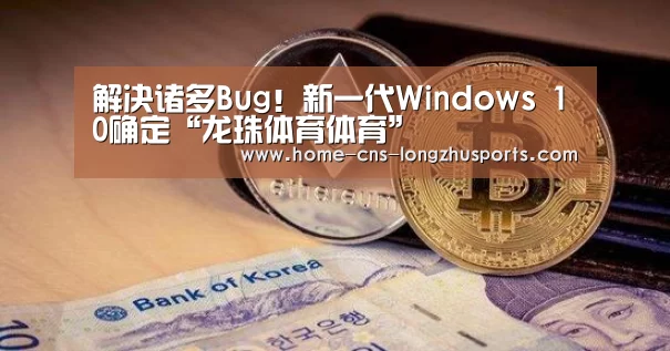 龙珠体育体育