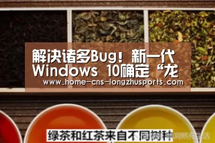 龙珠体育