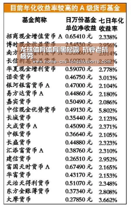 龙珠体育体育