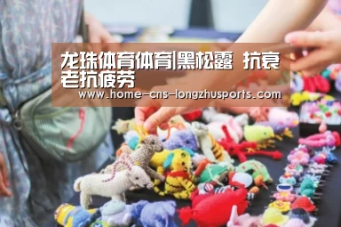 龙珠体育