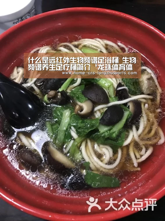 龙珠体育体育